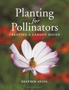 Planting for pollinators : creating a garden haven  Cover Image