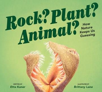 Rock? Plant? Animal? : how nature keeps us guessing  Cover Image