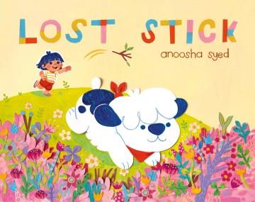 Lost stick  Cover Image
