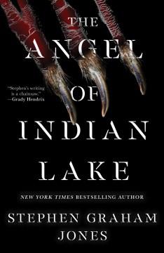 The angel of Indian Lake  Cover Image