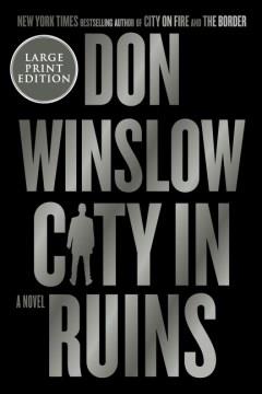 City in ruins a novel  Cover Image
