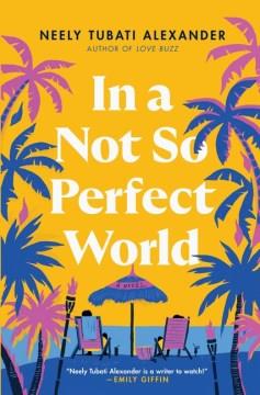 In a not so perfect world : a novel  Cover Image