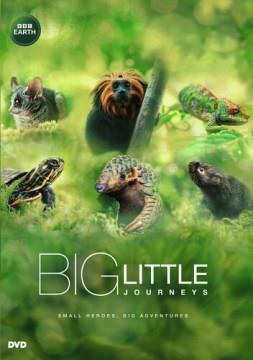 Big little journeys Cover Image
