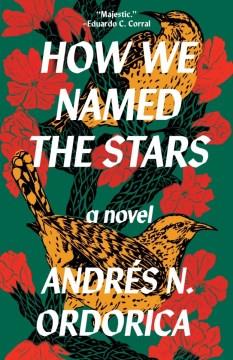 How we named the stars : a novel  Cover Image