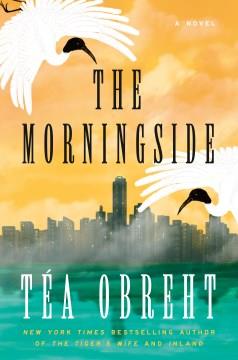 The Morningside A Novel Cover Image