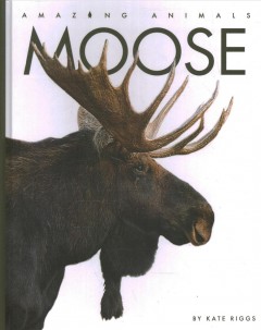 Moose  Cover Image