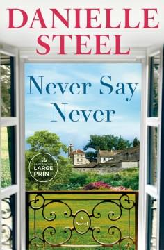 Never Say Never A Novel. Cover Image