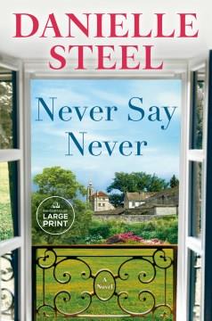 Never Say Never A Novel. Cover Image