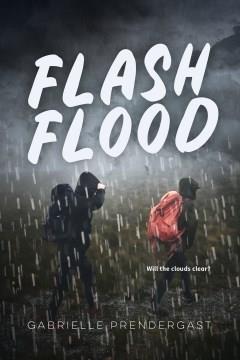 Flash flood  Cover Image