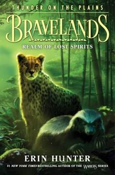 Realm of lost spirits  Cover Image