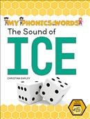 The sound of ice  Cover Image