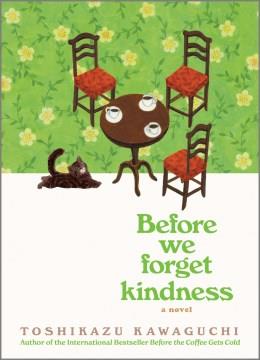 Before we forget kindness : a novel  Cover Image