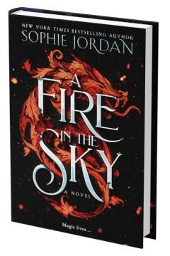 A fire in the sky : a novel  Cover Image
