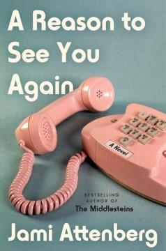 A Reason to See You Again : A Novel. Cover Image