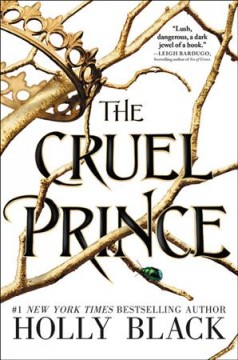The cruel prince  Cover Image