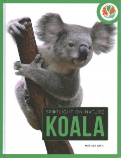 Koala  Cover Image