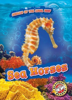 Sea horses  Cover Image