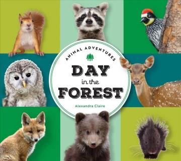 A day in the forest  Cover Image