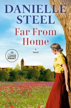 Far from home a novel  Cover Image