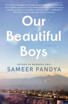 Our beautiful boys : a novel  Cover Image