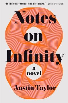 Notes on Infinity : A Novel. Cover Image