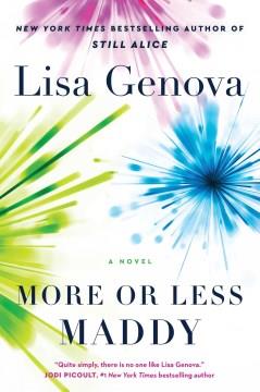 More or Less Maddy A Novel Cover Image