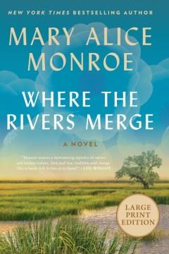 Where the rivers merge a novel  Cover Image