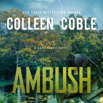 Ambush A Small-Town Romantic Suspense Cover Image