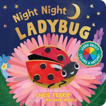 Night Night Ladybug Cover Image