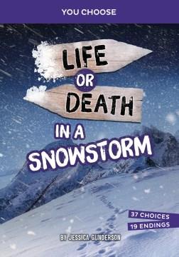 Life or death in a snowstorm : an interactive survival adventure  Cover Image
