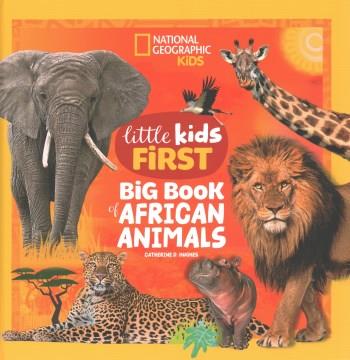 Little kids first big book of African animals  Cover Image