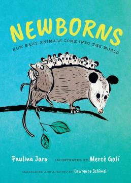 Newborns : how baby animals come into the world  Cover Image