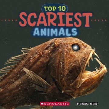 Top 10 scariest animals  Cover Image