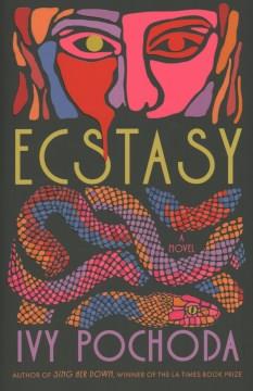 Ecstasy : a novel  Cover Image