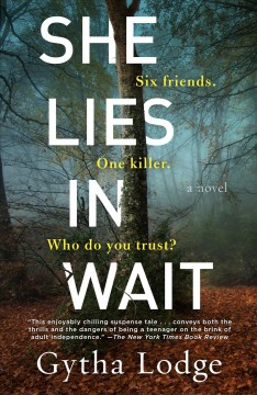 She Lies in Wait A Novel Cover Image