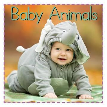 Baby Animals Cover Image