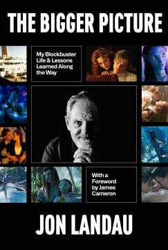 The Bigger Picture : My Blockbuster Life & Lessons Learned Along the Way. Cover Image