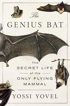The Genius Bat : The Secret Life of the Only Flying Mammal. Cover Image