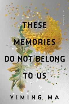 These Memories Do Not Belong to Us A Novel Cover Image