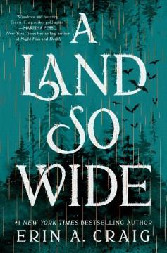 A land so wide : a novel  Cover Image
