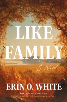 Like Family : A Novel. Cover Image