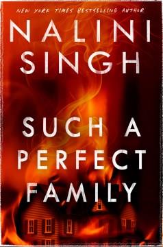 Such a Perfect Family. Cover Image