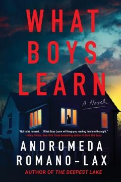 What Boys Learn. Cover Image