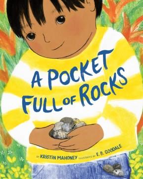 Pocket Full of Rocks. Cover Image