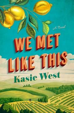 We Met Like This A Novel Cover Image