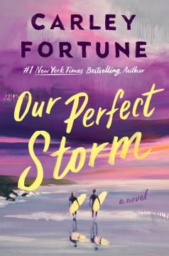 Our Perfect Storm. Cover Image