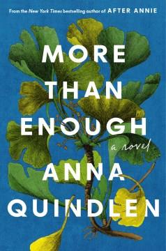 More Than Enough : A Novel. Cover Image
