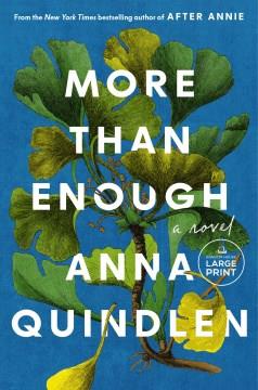 More Than Enough A Novel. Cover Image