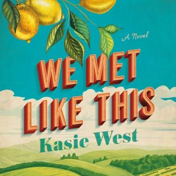 We Met Like This A Novel Cover Image