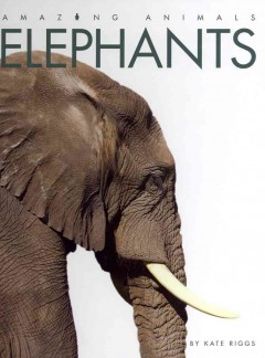 Amazing Animals - Elephants. Cover Image
